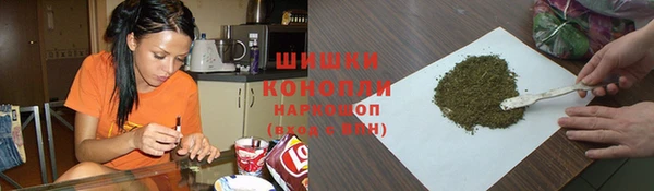 шишки Гусев