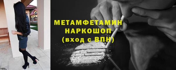 шишки Гусев