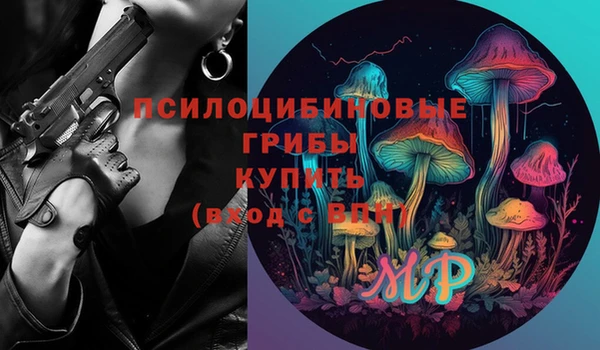 шишки Гусев