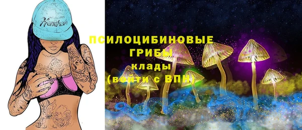 шишки Гусев