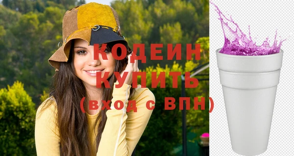 шишки Гусев