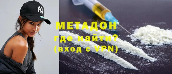 шишки Гусев