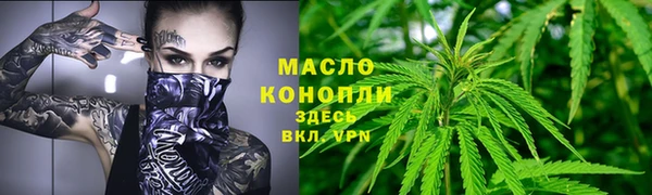 шишки Гусев