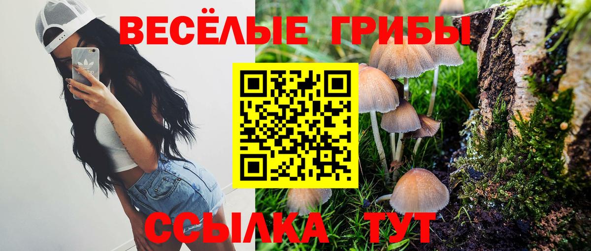Псилоцибиновые грибы Psilocybine cubensis  Вход с VPN  Ефремов 